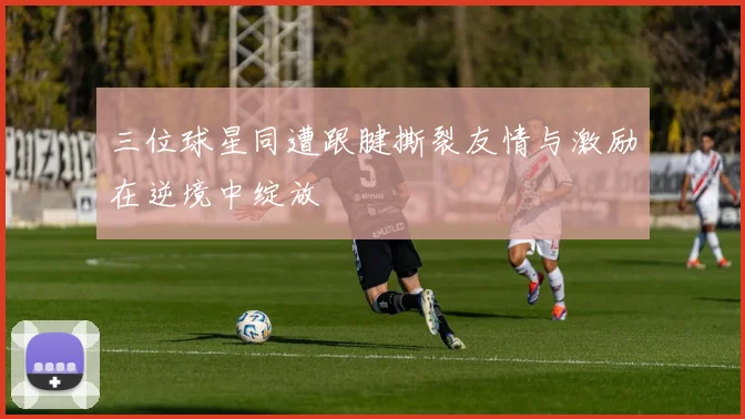 三位球星同遭跟腱撕裂友情与激励在逆境中绽放